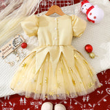 Christmas Snowflake Embroidery Dress
