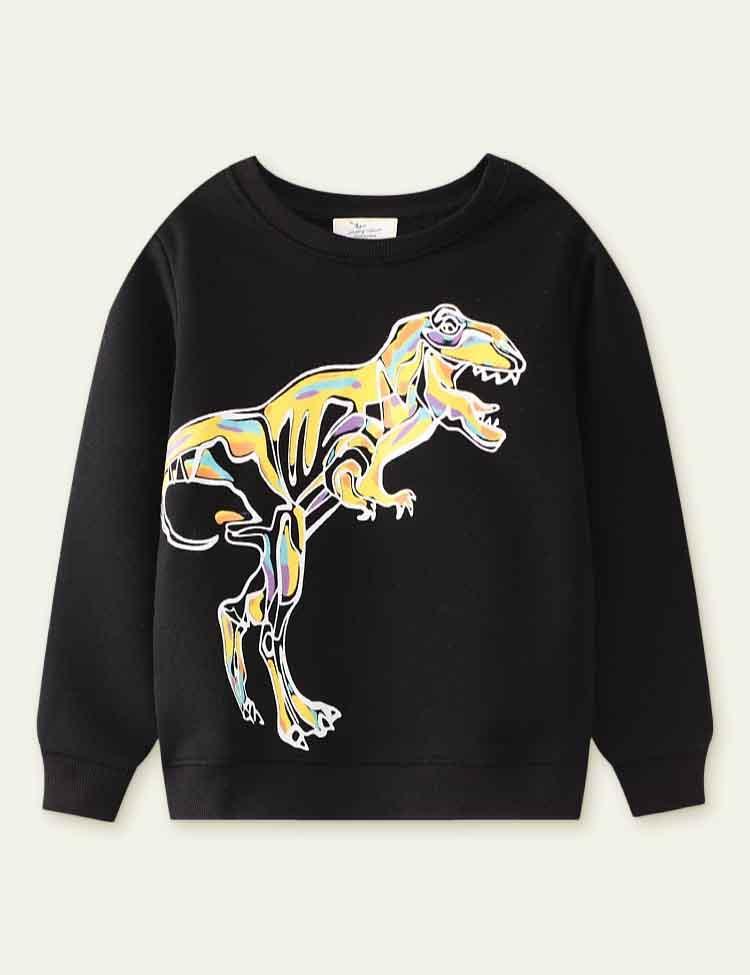 Dinosaur Printed Sweater - CCMOM