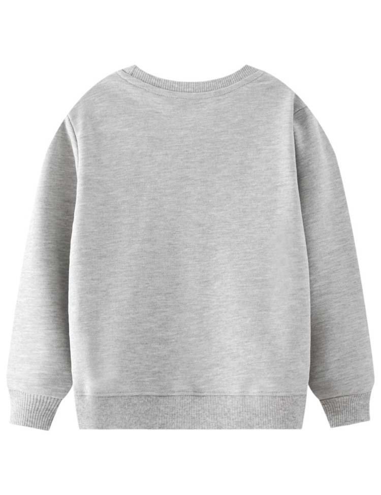 Toddler Flower Embroidered Crew Neck Pull Over Sweatshirt - CCMOM
