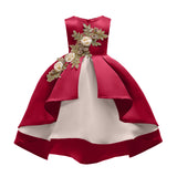 Embroidered Party Dress
