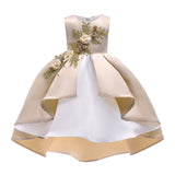Embroidered Party Dress