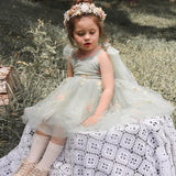 Lace Bow Flower Embroidery Dress
