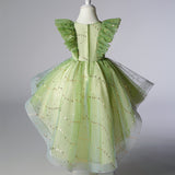 Flower Tulle Tutu Dress
