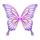 Easter Day Colorized Butterfly Wings