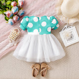 Cute Princess Mesh Dress