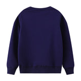 Bird Flower Appliqu¨¦ round Neck Sweater