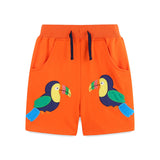 Boy Affixed Cloth Embroidered Floral Shorts