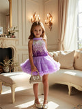 Purple Sleeveless Top + Tutu Skirt Suit