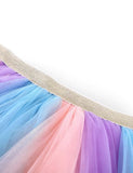 Rainbow Mesh Skirt - CCMOM