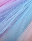 Rainbow Mesh Skirt - CCMOM